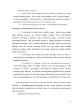 Verslininko nuostatos bruožai ir principai 5 puslapis