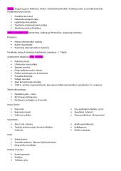 Konspektas nepriklausomybės kovos 2 puslapis