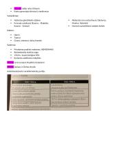 Konspektas nepriklausomybės kovos 3 puslapis