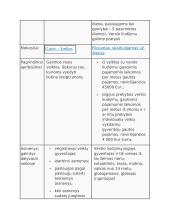 Komercinė teisė 2 puslapis