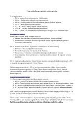 Istorijos konspektas. Kryžiaus žygiai 2 puslapis