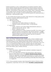 Istorijos konspektas. Kryžiaus žygiai 11 puslapis