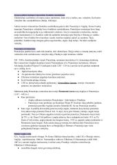 Istorijos konspektas. Kryžiaus žygiai 4 puslapis