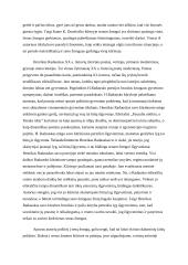  Seno žmogaus vaizdavimas literatūroje 2 puslapis