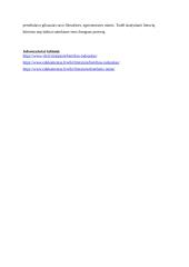 Seno žmogaus vaizdavimas 4 puslapis