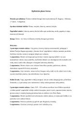 Šeimos reikšmė žmogui lietuvių literatūroje (planas)