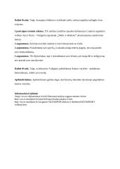 Šeimos reikšmė žmogui lietuvių literatūroje (planas) 2 puslapis