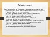 Logopedinis masažas 12 puslapis