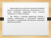 Logopedinis masažas 7 puslapis