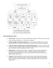 Išmaniojo telefono gamybos analizė 12 puslapis