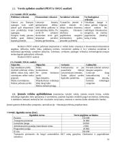 Išmaniojo telefono gamybos analizė 14 puslapis