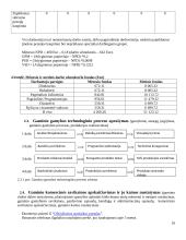 Išmaniojo telefono gamybos analizė 16 puslapis