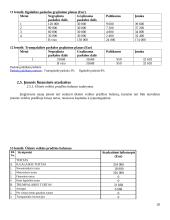 Išmaniojo telefono gamybos analizė 20 puslapis