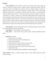 Išmaniojo telefono gamybos analizė 4 puslapis