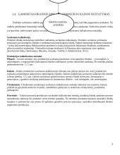 Išmaniojo telefono gamybos analizė 9 puslapis