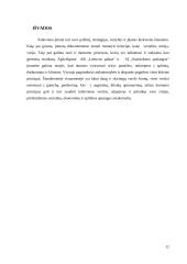 Darnios užstatytos aplinkos vystymas ir valdymas 11 puslapis