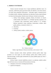 Darnios užstatytos aplinkos vystymas ir valdymas 4 puslapis