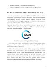 Darnios užstatytos aplinkos vystymas ir valdymas 5 puslapis