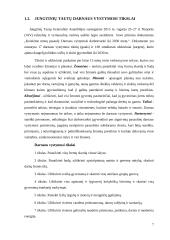 Darnios užstatytos aplinkos vystymas ir valdymas 6 puslapis