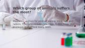 Testing products on animals 4 puslapis