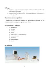 Skysčių klampos tyrimas stokso būdu 2 puslapis