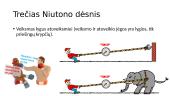 Dinamika. Niutono dėsniai 12 puslapis