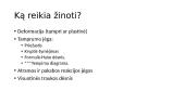 Dinamika. Tamprumo jėga ir visuotinės traukos jėga 2 puslapis