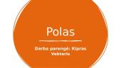 Sportas - polas