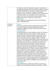 Du požiūriai į gyvenimą Žemaitės apsakyme „Marti“ 2 puslapis