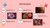 Hepatitis 5 puslapis