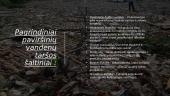 Pasaulio vandenynų ir sausumos vandenų tarša 8 puslapis