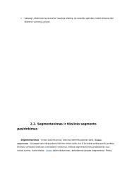Marketingo pagrindai. Naujos prekės įvedimo į rinką marketingo sprendimai 6 puslapis