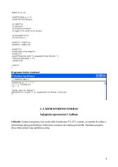 Elektroninių sistemų programavimas 3 puslapis