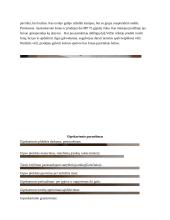 Technologinio darbo aprašas. Paviršiaus dekoravimas gipsiniu tinku, glaistu ir trafareto dekoracijomis 11 puslapis