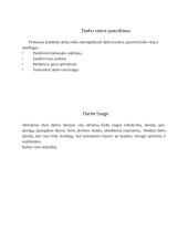 Technologinio darbo aprašas. Paviršiaus dekoravimas gipsiniu tinku, glaistu ir trafareto dekoracijomis 13 puslapis