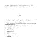 Technologinio darbo aprašas. Paviršiaus dekoravimas gipsiniu tinku, glaistu ir trafareto dekoracijomis 4 puslapis