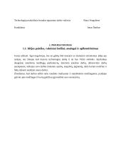 Technologinio darbo aprašas. Paviršiaus dekoravimas gipsiniu tinku, glaistu ir trafareto dekoracijomis 6 puslapis