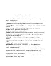 Technologinio darbo aprašas. Paviršiaus dekoravimas gipsiniu tinku, glaistu ir trafareto dekoracijomis 7 puslapis