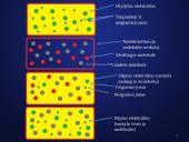 Elektros srovė skysčiuose (skaidrės) 7 puslapis