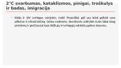Klimato kaitos pasekmės globaliai politikai 10 puslapis