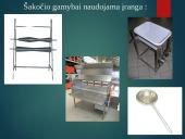 Šakočių gamyba 5 puslapis