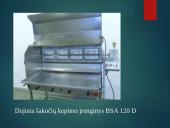 Šakočių gamyba 6 puslapis