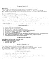 Viršutinės kūno dalies raumenynas 4 puslapis