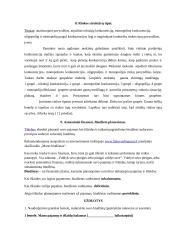 Ekonomika ir verslumo pagrindai 14 puslapis