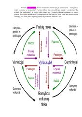 Ekonomika ir verslumo pagrindai 9 puslapis
