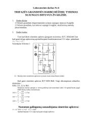 Kintamos srovės elektros perdavimo linijos rėžimų tyrimas kintant apkrovai 3 puslapis