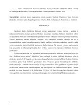Kultūrinis Merkinės miesto pasakojimas