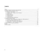 Kultūrinis Merkinės miesto pasakojimas 3 puslapis
