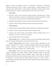 Kultūrinis Merkinės miesto pasakojimas 5 puslapis