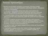 Antigonė skaidrės 16 puslapis